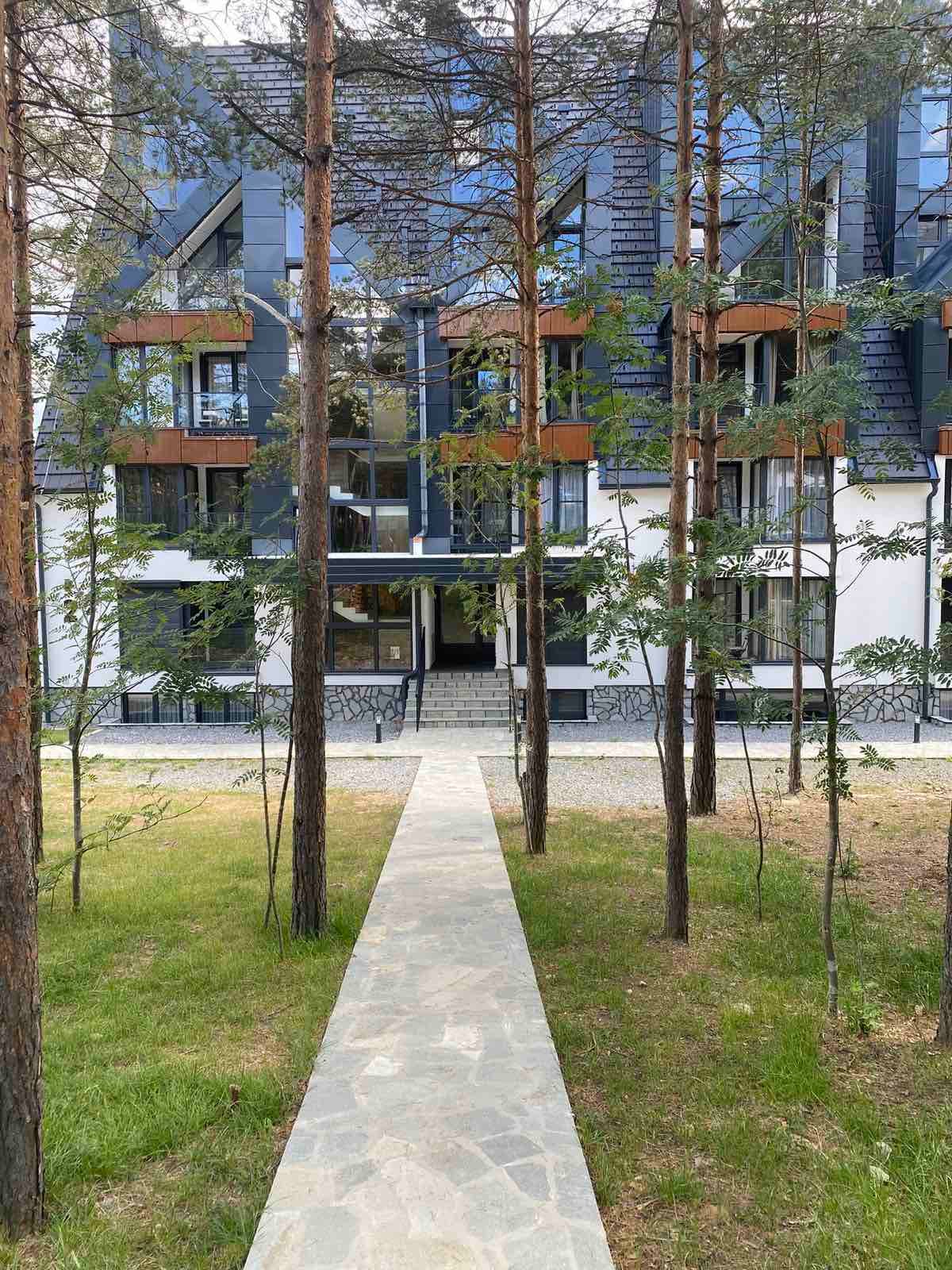 Apartman Zeleni Vrhovi među borovima na Divčibarama — kamena staza kroz borovu šumu do zgrade
