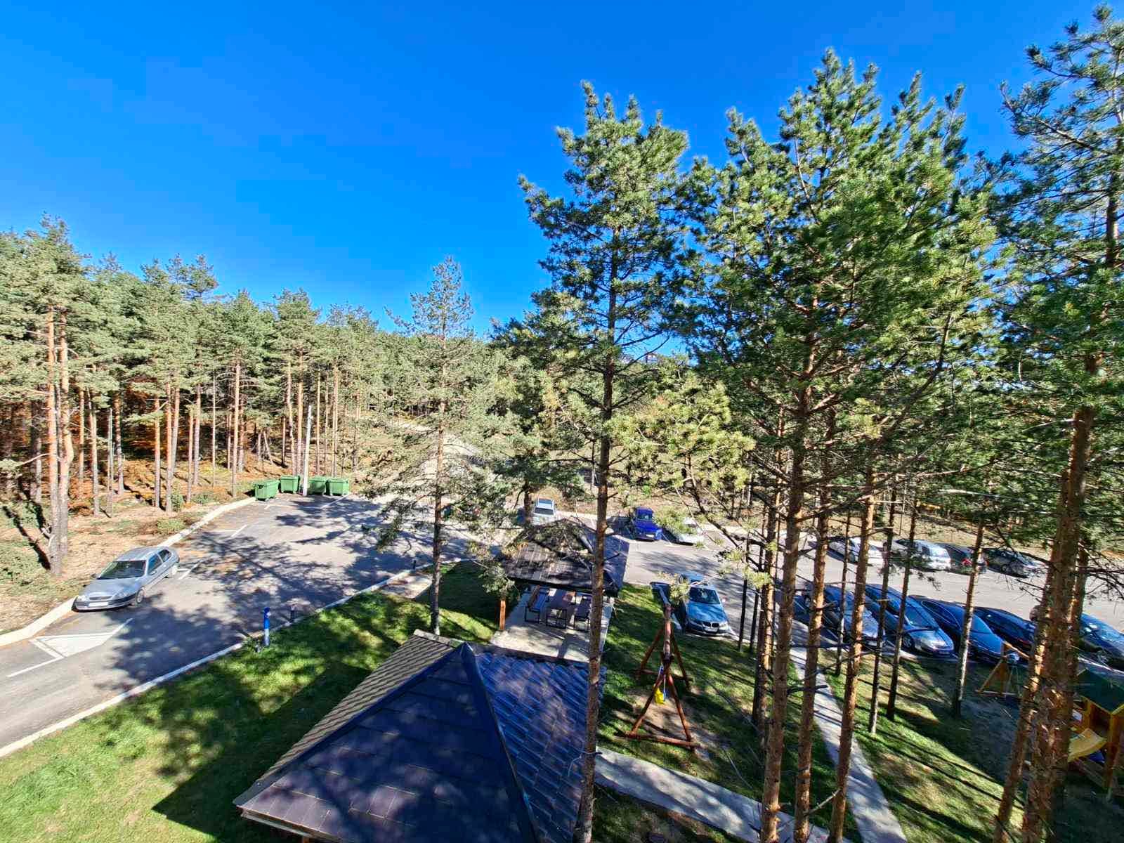 Pogled na borovu šumu koja okružuje apartman Zeleni Vrhovi na Divčibarama